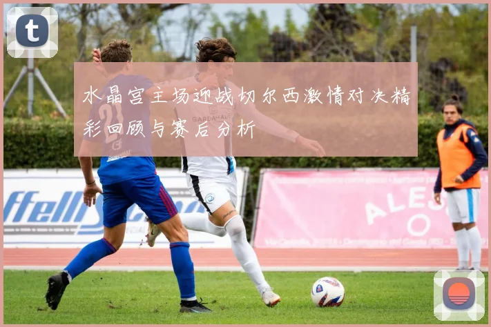 水晶宫主场迎战切尔西激情对决精彩回顾与赛后分析