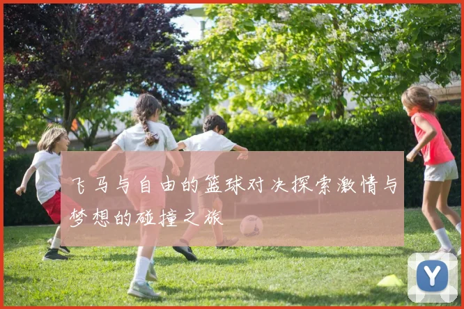 飞马与自由的篮球对决探索激情与梦想的碰撞之旅