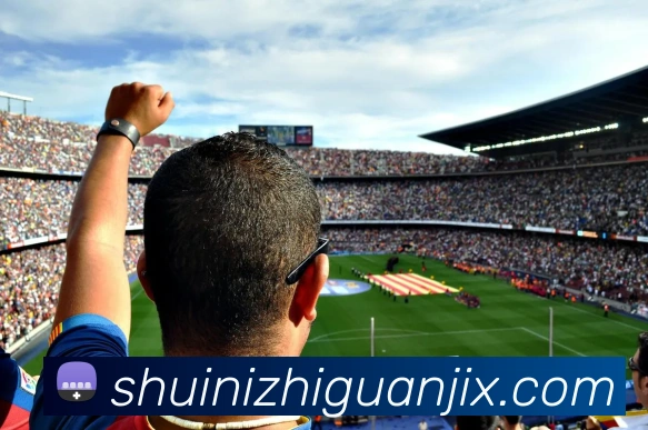 多媒体互动体验